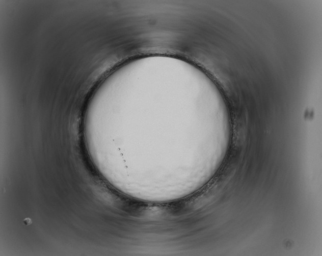 X0000101390111200807280947