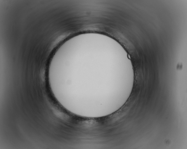 X0000101390112200807280947