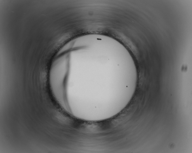 X0000101390113200807280947