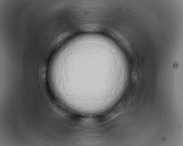 X0000101390115200807280947