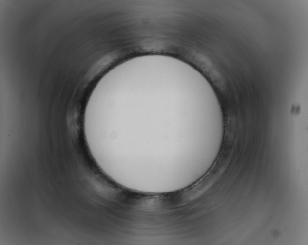 X0000101390116200807280947