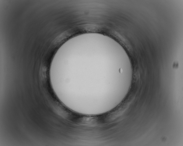 X0000101390117200807280947