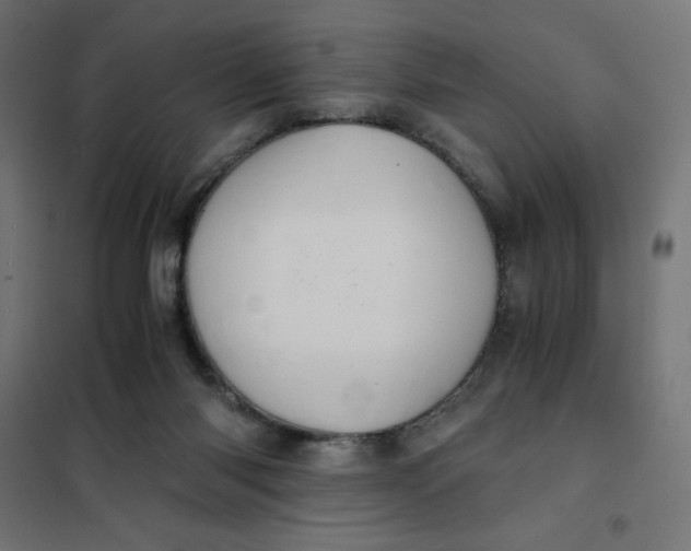 X0000101390118200807280947