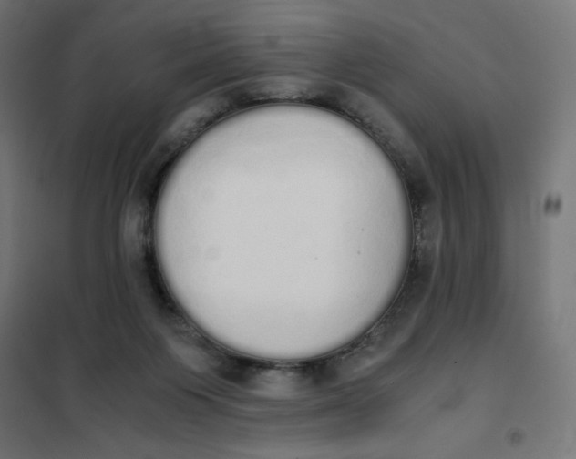 X0000101390119200807280947