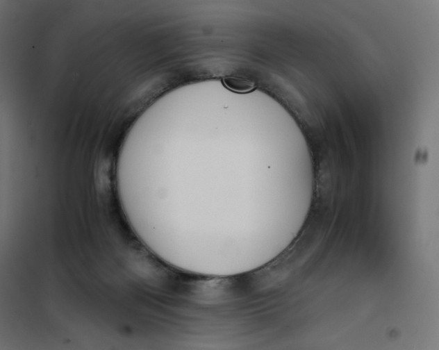 X0000101390122200807280947