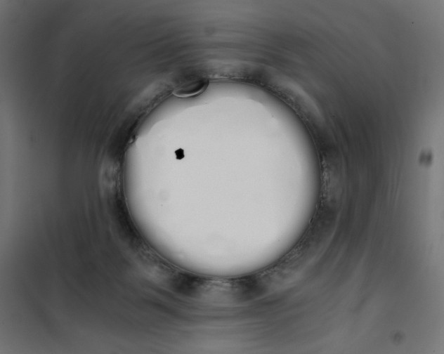 X0000101390123200807280947