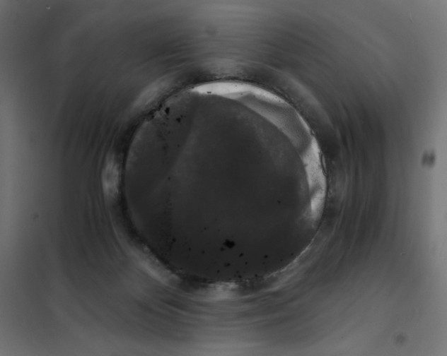 X0000101390124200807280947