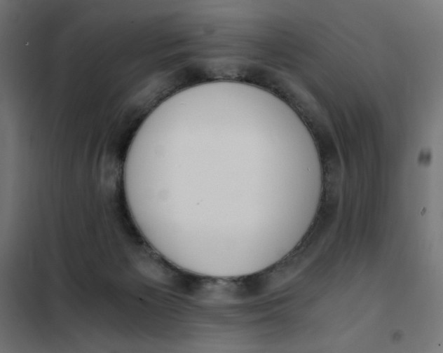 X0000101390125200807280947
