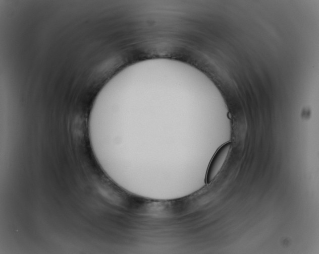 X0000101390126200807280947