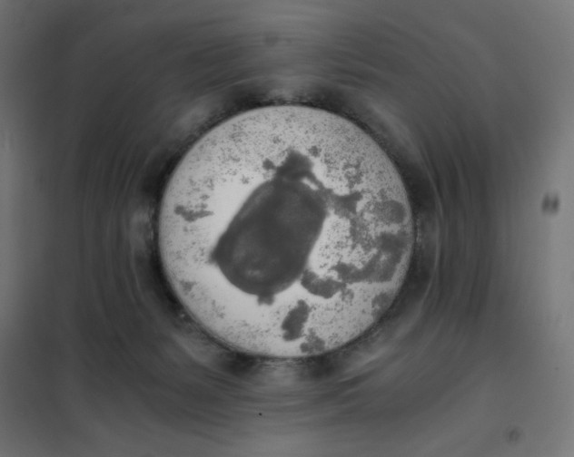 X0000101390127200807280947