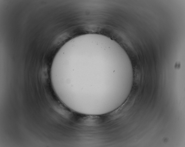 X0000101390128200807280947