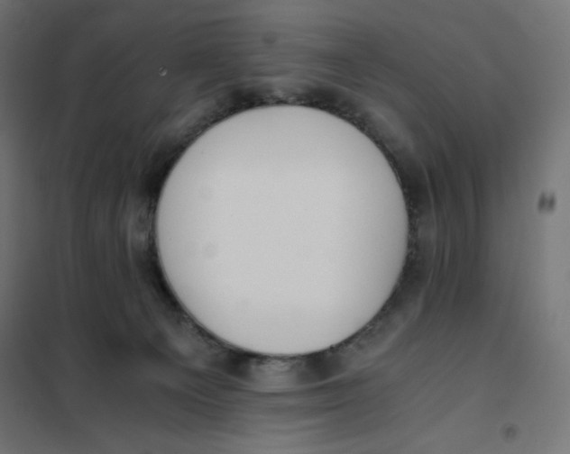X0000101390129200807280947