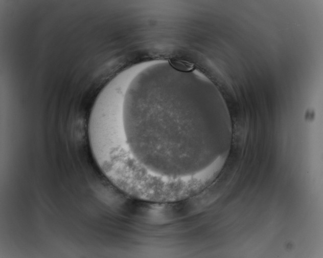 X0000101390130200807280947