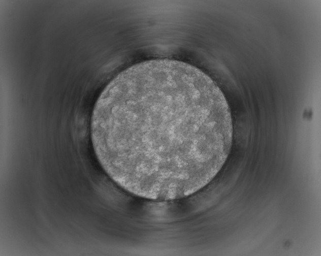 X0000101390131200807280947