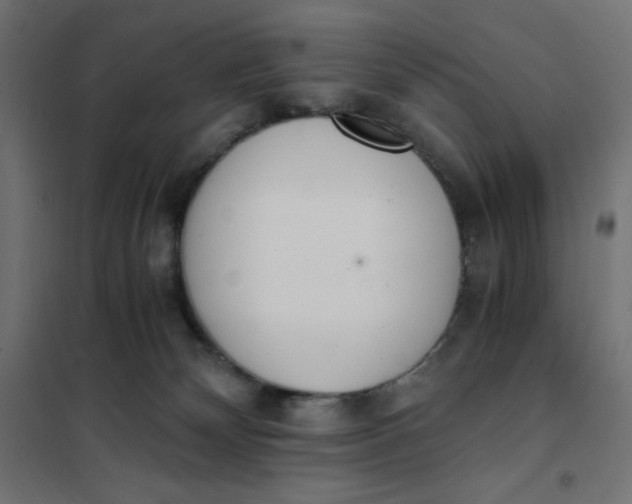 X0000101390132200807280947