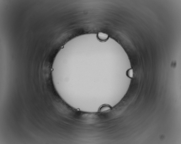X0000101390133200807280947