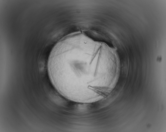 X0000101390134200807280947