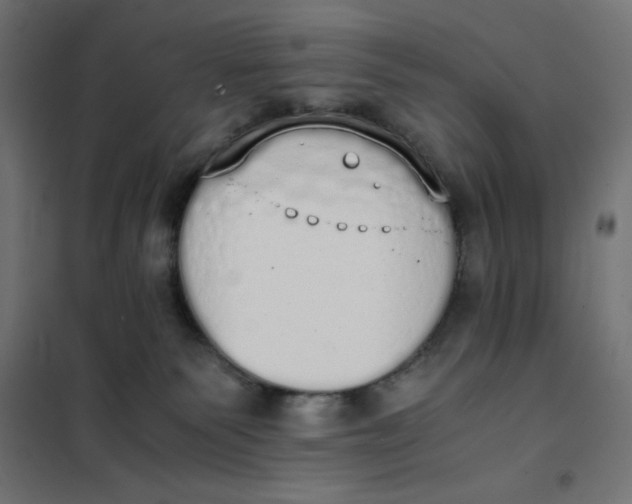 X0000101390135200807280947