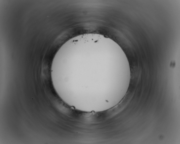 X0000101390136200807280947