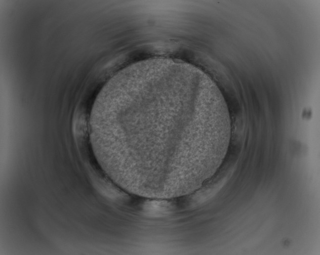 X0000101390137200807280947