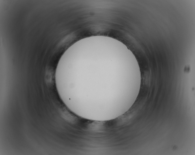 X0000101390138200807280947