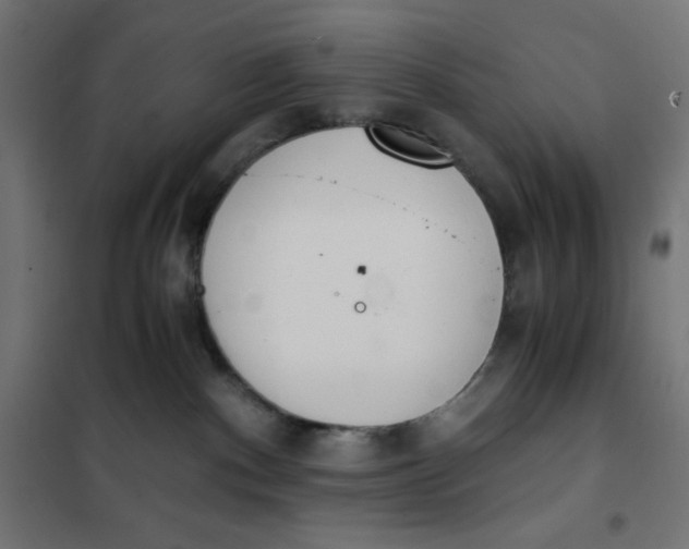X0000101390140200807280947