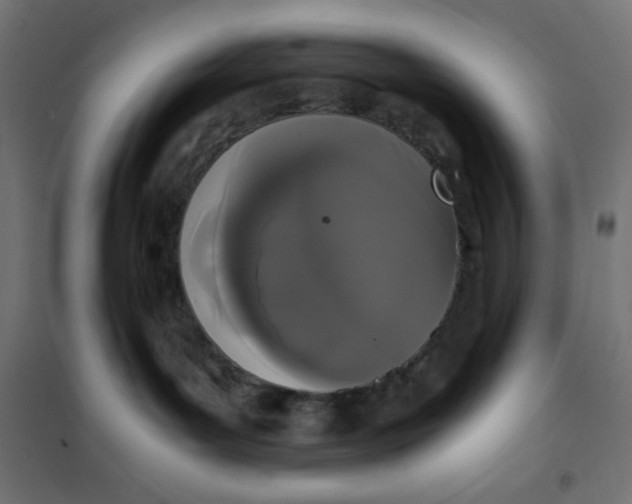 X0000101390143200807280947