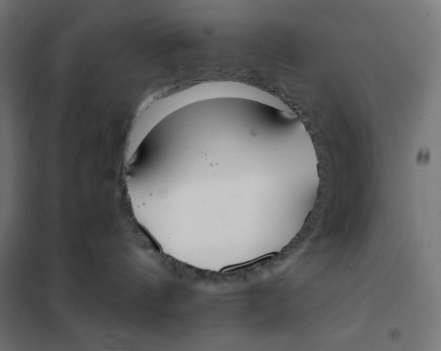 X0000101390144200807280947