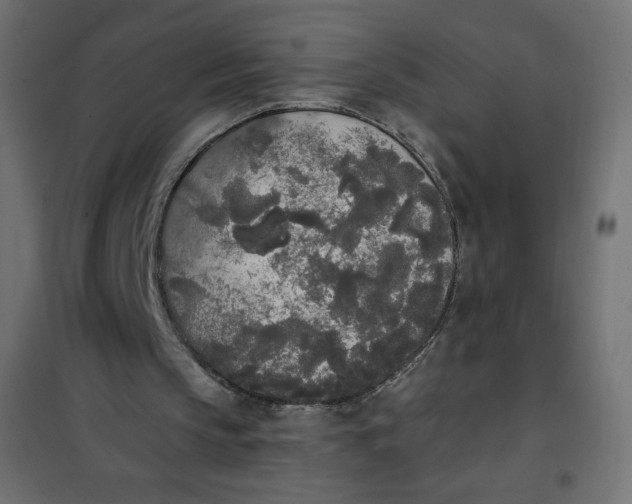 X0000101390145200807280946