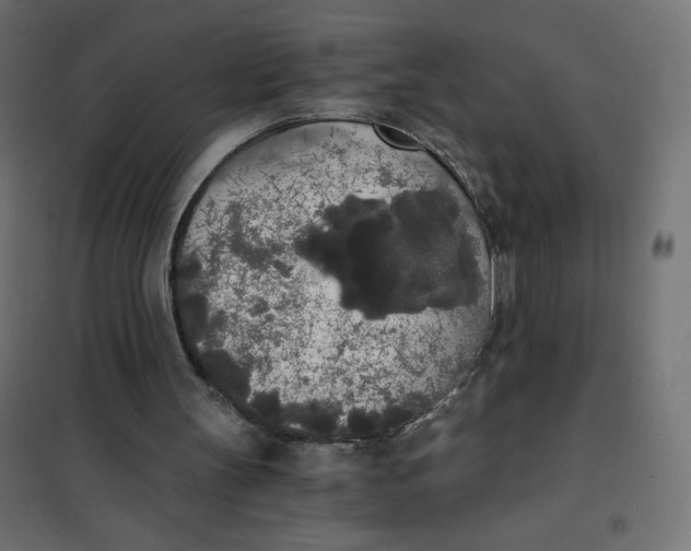 X0000101390147200807280946