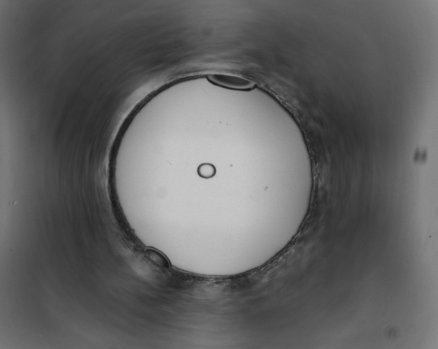 X0000101390148200807280946
