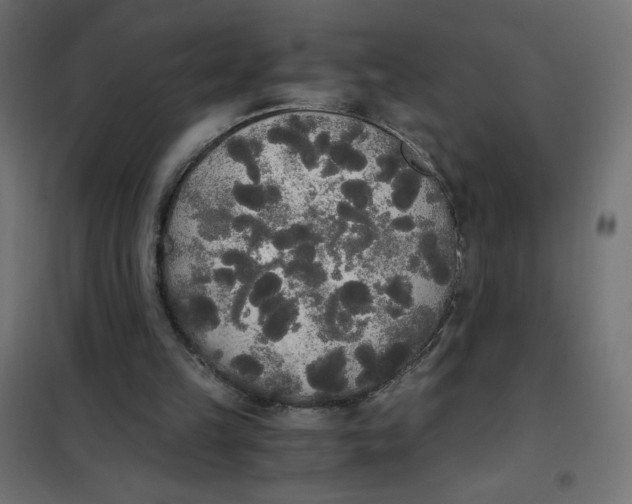 X0000101390149200807280946