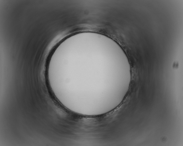 X0000101390150200807280946