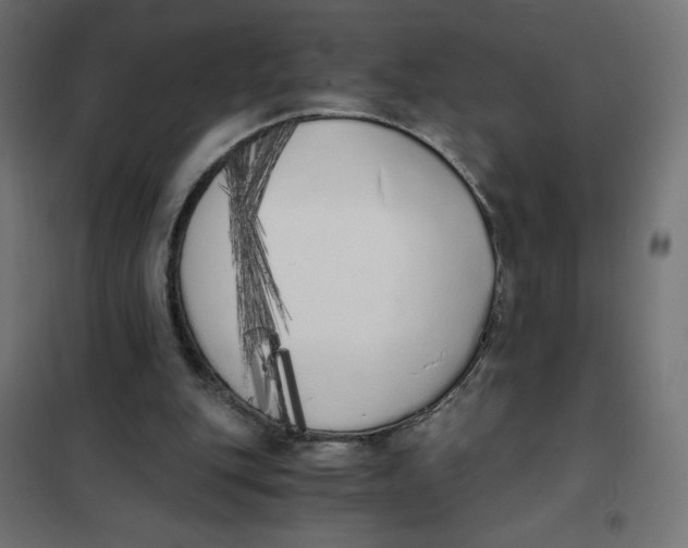 X0000101390151200807280946