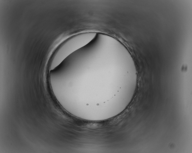 X0000101390152200807280946