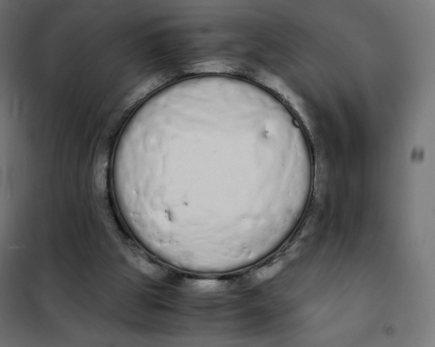 X0000101390153200807280946