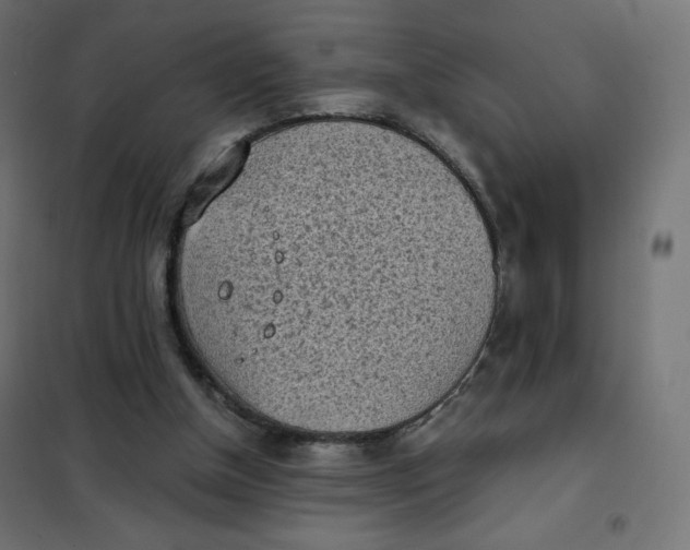 X0000101390154200807280946