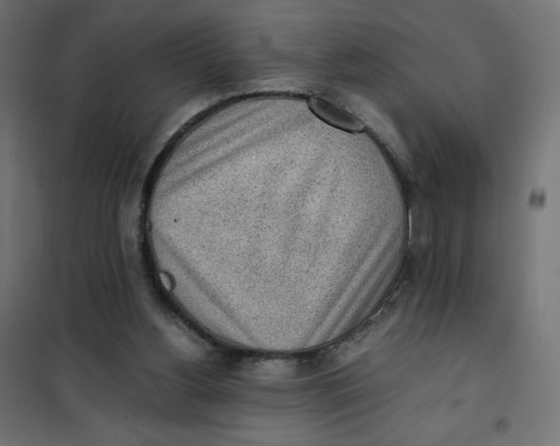 X0000101390156200807280946