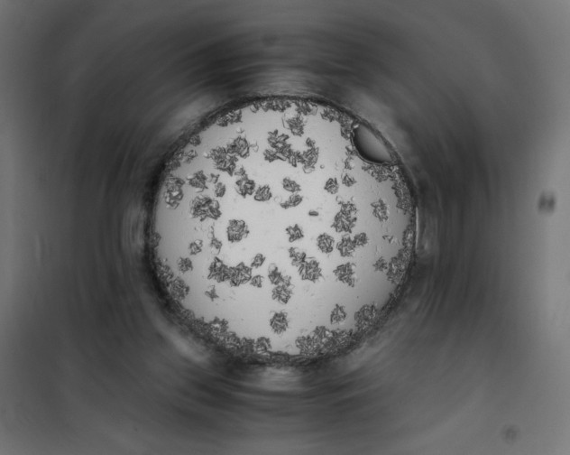 X0000101390157200807280946