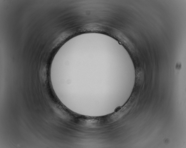 X0000101390158200807280946