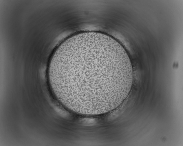 X0000101390159200807280946