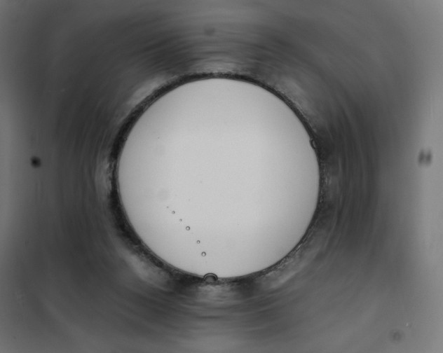 X0000101390160200807280946