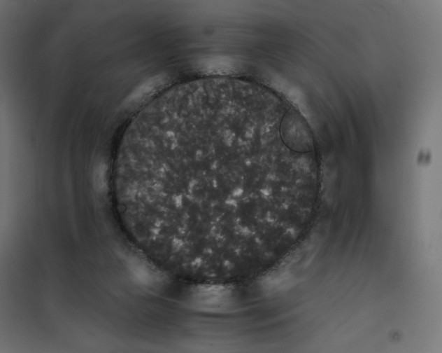 X0000101390161200807280946