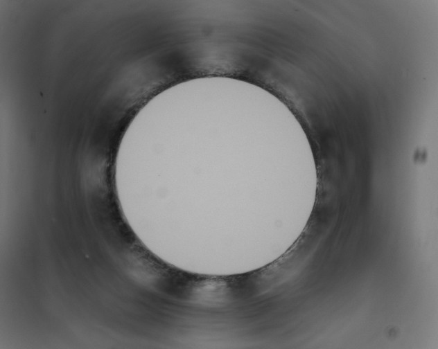 X0000101390162200807280946