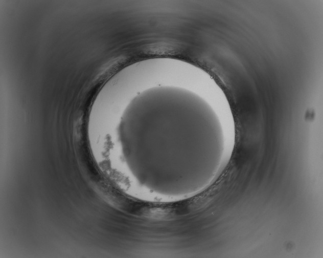 X0000101390163200807280946