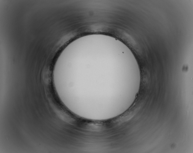 X0000101390164200807280946