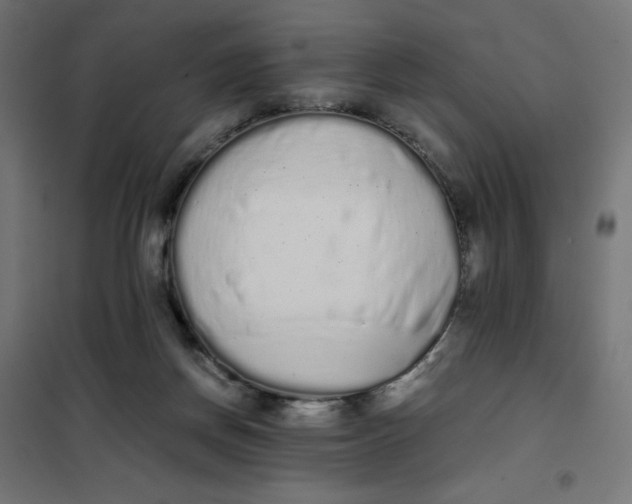 X0000101390166200807280946
