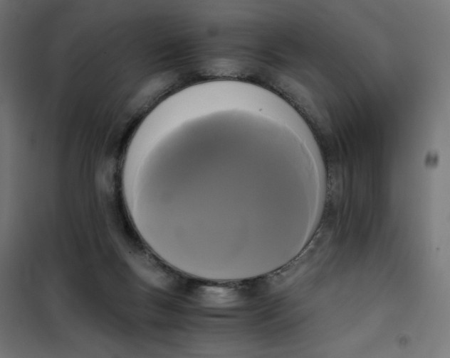 X0000101390167200807280946