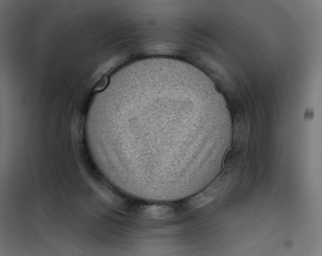 X0000101390168200807280946