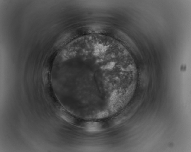X0000101390169200807280946